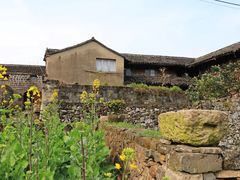 -桑洲油菜花景区