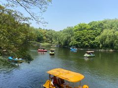 -上海共青森林公园