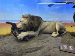 -国家自然博物馆