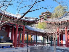 -宫事颐庭·老佛爷贵寿下午茶(颐和园店)