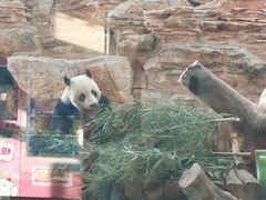 -石家庄市动物园