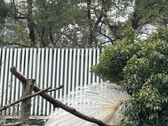 -成都动物园