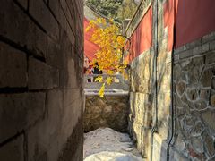 -潭柘寺景区