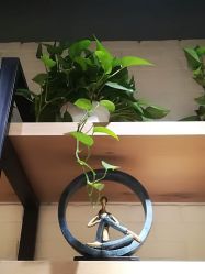 点击看大图 -FineYoga梵音瑜伽·普拉提
