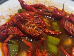 -杨氏青龙虾·吃蟹季(金盛路总店)