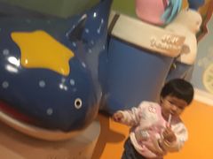 -烟台海昌鲸鲨海洋公园