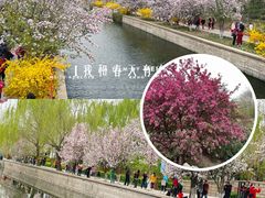 -海棠花溪(元大都城垣遗址公园)
