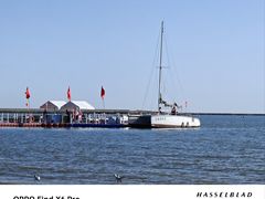 -天津东疆湾沙滩景区