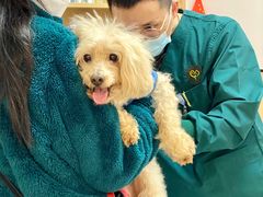 -瑞派康怡24h宠物医院·犬猫医疗中心·微创绝育(瑞景分院)