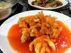 菊花兔-丁月玉兔王(大渡口店)