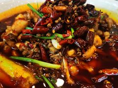馋嘴蛙-鸿运楼烤鸭店(天桥店)