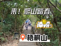 -梧桐山风景名胜区