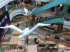 -大族广场Mall&More