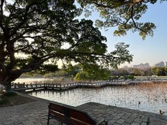 -江心屿景区