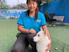 -宠物寄养训练学校