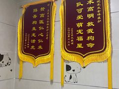 -谐和益家动物医院·免疫绝育·血液透析·宠保定点医院(高新伊藤分院)
