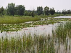 -野鸭湖国家湿地公园