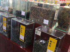 -瑞来春堂(南后街店)