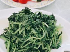 -博雅渔港·融合菜(维也纳国际大酒店)