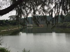 -火炉山森林公园
