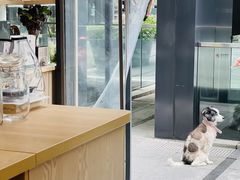 -COFFEE HOLIC(朝外SOHO店)