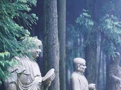 -武陵山森林公园