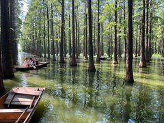 -渌洋湖湿地公园