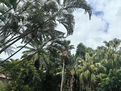 -海南热带野生动植物园