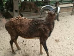 -亚马逊丛林水乐园