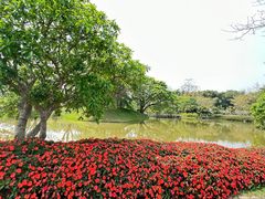 -中国科学院西双版纳热带植物园