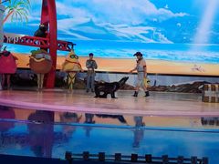 -三亚海昌梦幻海洋不夜城