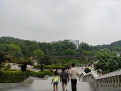 -大屏嶂森林公园