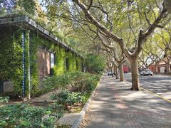 -一尺花园(安和花园店)