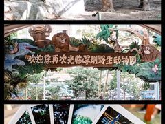 -深圳野生动物园