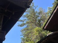 -张关合渣(航空大道店)