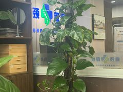 -肩颈管家·肩颈调理·经络养生(华景新城店)