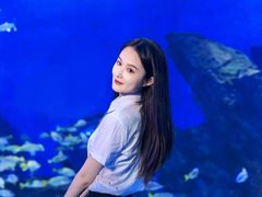 -海合安武汉极地海洋公园
