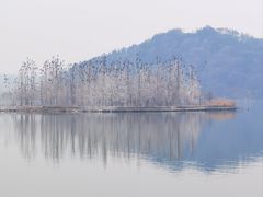 -东湖落雁景区