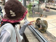 -苏州太湖西山岛开心农场