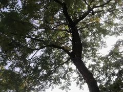 -东北大学(南湖校区)
