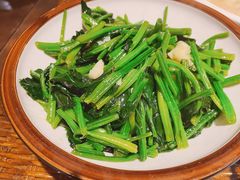 菠菜-广信传说