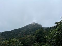 -鲁山国家森林公园