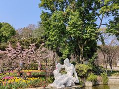 -南山植物园