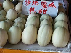 -大湾区中央湿地公园-十九涌