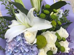 -双季花艺园艺市场(浦东店)
