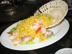 5-绿色时代大酒店