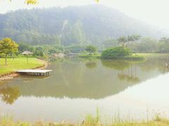 android_upload_pic-南沙蒲洲花园