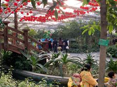 -南宫五洲植物乐园