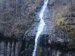 -望天鹅景区
