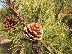 -鹫峰国家森林公园